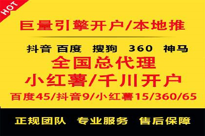SEO百度推广策略：成功案例解析